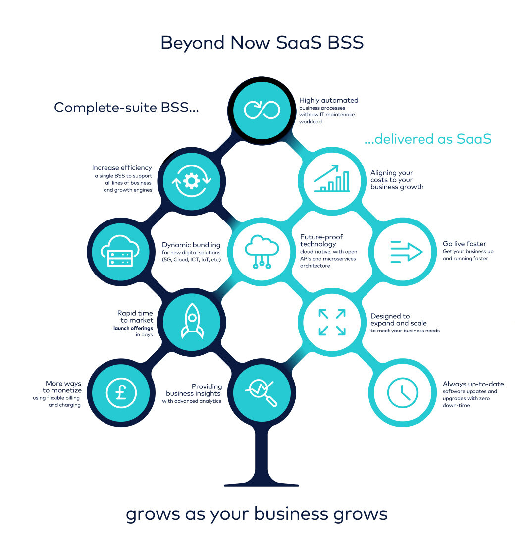SaaS BSS Infographic